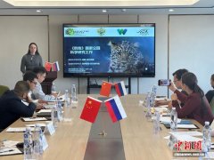 中俄业界人士聚珲春探讨推进东北虎豹跨境保护合作